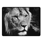 Africa Lion Male Closeup Macro Double Sided Fleece Blanket (Small)  45 x34  Blanket Front