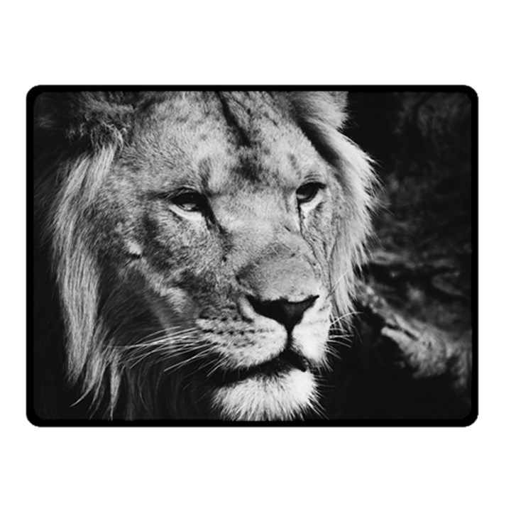 Africa Lion Male Closeup Macro Double Sided Fleece Blanket (Small) 