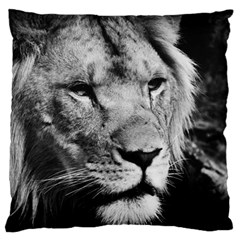 Africa Lion Male Closeup Macro Large Flano Cushion Case (two Sides) by BangZart