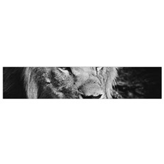 Africa Lion Male Closeup Macro Small Flano Scarf by BangZart