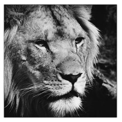 Africa Lion Male Closeup Macro Large Satin Scarf (square) by BangZart