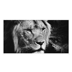 Africa Lion Male Closeup Macro Satin Shawl by BangZart