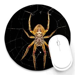 Insect Macro Spider Colombia Round Mousepads by BangZart