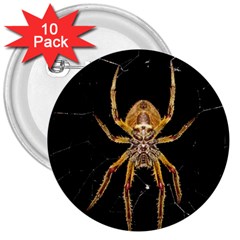 Insect Macro Spider Colombia 3  Buttons (10 Pack)  by BangZart