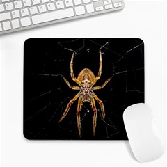 Insect Macro Spider Colombia Large Mousepads by BangZart