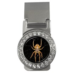 Insect Macro Spider Colombia Money Clips (cz) 