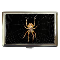 Insect Macro Spider Colombia Cigarette Money Cases by BangZart