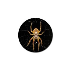 Insect Macro Spider Colombia Golf Ball Marker (10 Pack) by BangZart