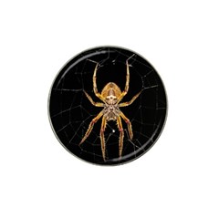 Insect Macro Spider Colombia Hat Clip Ball Marker (10 Pack) by BangZart