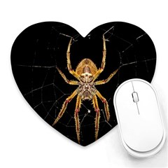 Insect Macro Spider Colombia Heart Mousepads by BangZart