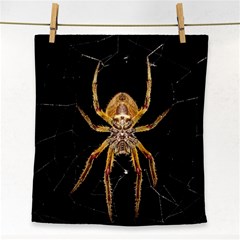 Insect Macro Spider Colombia Face Towel by BangZart