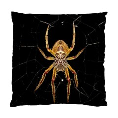 Insect Macro Spider Colombia Standard Cushion Case (one Side) by BangZart