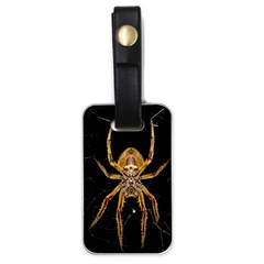 Insect Macro Spider Colombia Luggage Tags (one Side)  by BangZart