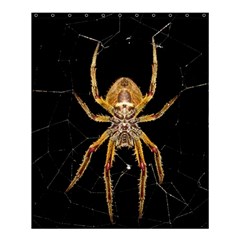 Insect Macro Spider Colombia Shower Curtain 60  X 72  (medium)  by BangZart