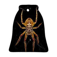 Insect Macro Spider Colombia Bell Ornament (two Sides)