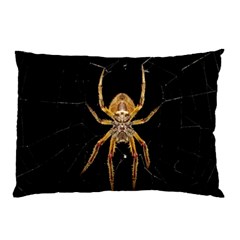 Insect Macro Spider Colombia Pillow Case (two Sides) by BangZart