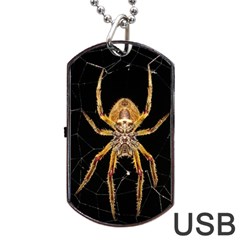 Insect Macro Spider Colombia Dog Tag Usb Flash (one Side) by BangZart