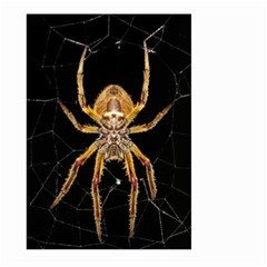 Insect Macro Spider Colombia Large Garden Flag (two Sides) by BangZart