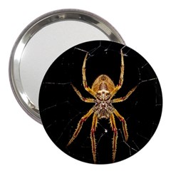 Insect Macro Spider Colombia 3  Handbag Mirrors by BangZart