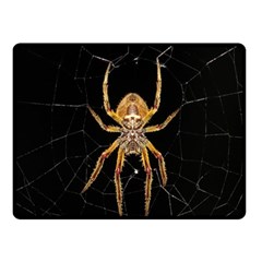 Insect Macro Spider Colombia Double Sided Fleece Blanket (small)  by BangZart