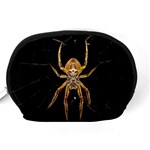 Insect Macro Spider Colombia Accessory Pouches (Medium)  Back