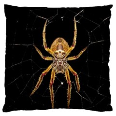 Insect Macro Spider Colombia Large Flano Cushion Case (one Side) by BangZart