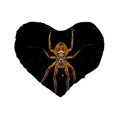 Insect Macro Spider Colombia Standard 16  Premium Flano Heart Shape Cushions by BangZart