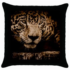 Jaguar Water Stalking Eyes Throw Pillow Case (black) by BangZart