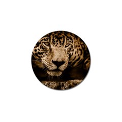 Jaguar Water Stalking Eyes Golf Ball Marker by BangZart