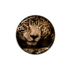 Jaguar Water Stalking Eyes Hat Clip Ball Marker (10 Pack) by BangZart