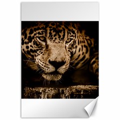 Jaguar Water Stalking Eyes Canvas 24  X 36  by BangZart