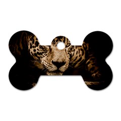 Jaguar Water Stalking Eyes Dog Tag Bone (two Sides) by BangZart