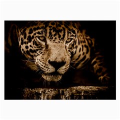 Jaguar Water Stalking Eyes Large Glasses Cloth by BangZart