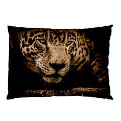 Jaguar Water Stalking Eyes Pillow Case by BangZart