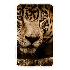 Jaguar Water Stalking Eyes Memory Card Reader by BangZart