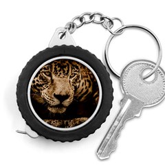 Jaguar Water Stalking Eyes Measuring Tape by BangZart