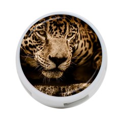 Jaguar Water Stalking Eyes 4-port Usb Hub (two Sides)  by BangZart