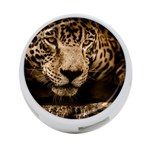 Jaguar Water Stalking Eyes 4-Port USB Hub (Two Sides)  Back