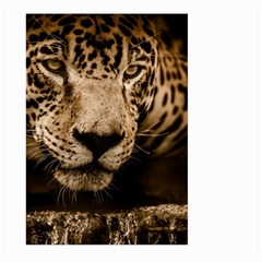 Jaguar Water Stalking Eyes Large Garden Flag (two Sides) by BangZart