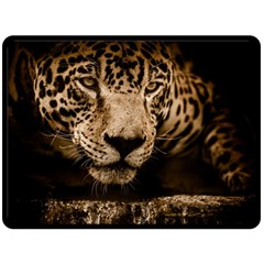 Jaguar Water Stalking Eyes Double Sided Fleece Blanket (large)  by BangZart