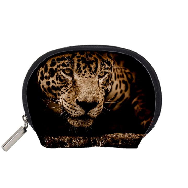 Jaguar Water Stalking Eyes Accessory Pouches (Small) 