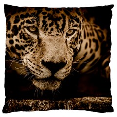 Jaguar Water Stalking Eyes Standard Flano Cushion Case (one Side) by BangZart