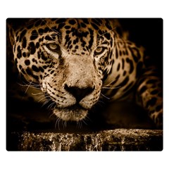 Jaguar Water Stalking Eyes Double Sided Flano Blanket (small)  by BangZart