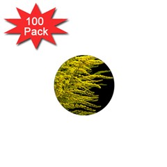 Golden Rod Gold Diamond 1  Mini Magnets (100 Pack)  by BangZart