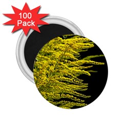 Golden Rod Gold Diamond 2 25  Magnets (100 Pack)  by BangZart