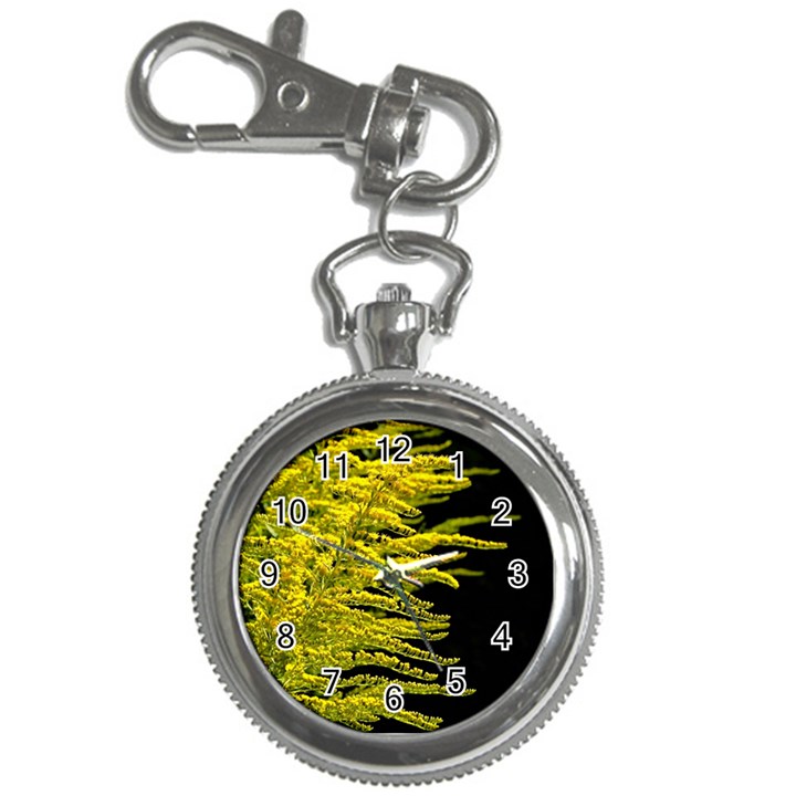 Golden Rod Gold Diamond Key Chain Watches