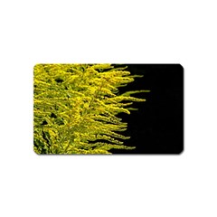 Golden Rod Gold Diamond Magnet (name Card) by BangZart