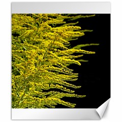 Golden Rod Gold Diamond Canvas 8  X 10  by BangZart