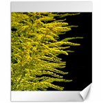 Golden Rod Gold Diamond Canvas 11  x 14   10.95 x13.48  Canvas - 1