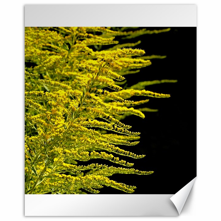 Golden Rod Gold Diamond Canvas 11  x 14  